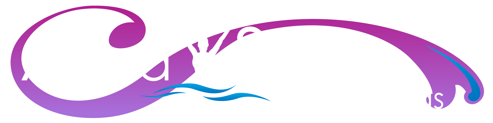 https://aquasports.freecomcrea.fr/wp-content/uploads/2025/02/Logo-AquaSportsPeronnas_ecriture_blanche.png